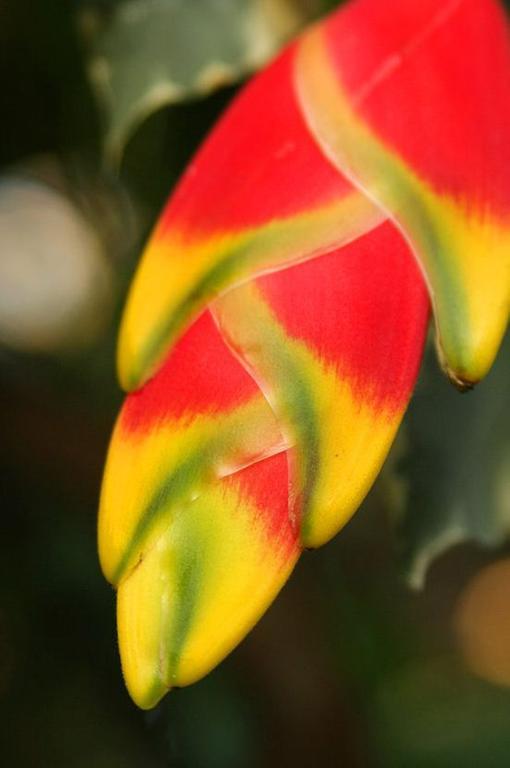 The Fiji Orchid Ξενοδοχείο Lautoka Εξωτερικό φωτογραφία